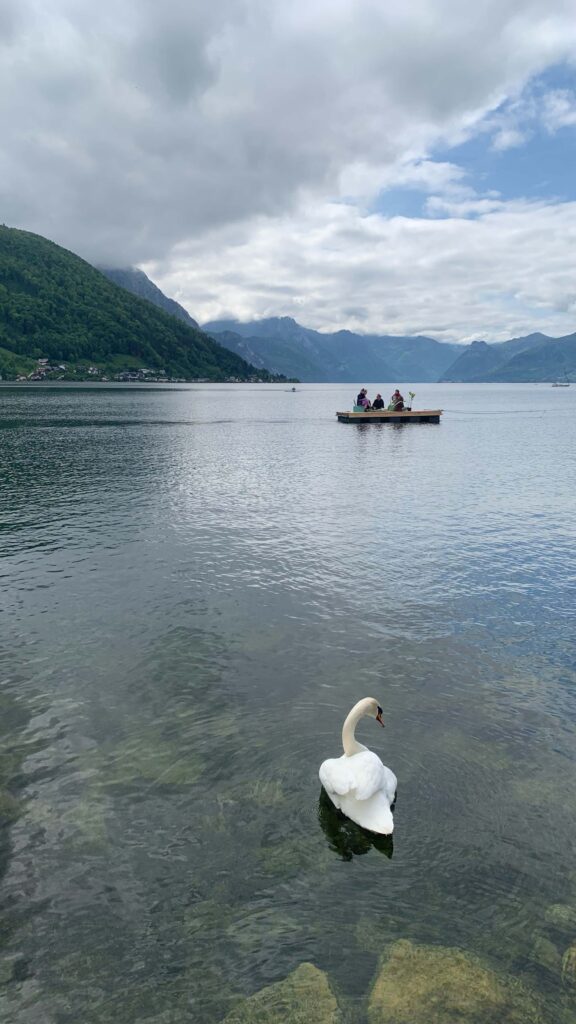 Eröffnung Plattformen, 
Foto: ©Margarita Ivanova